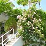 Mediterranea - One Bedroom With Sea View